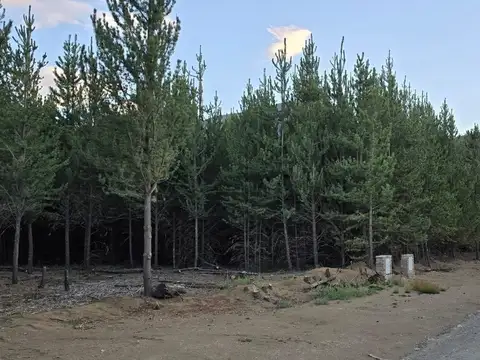 Terreno en Venta de 948,0 m2