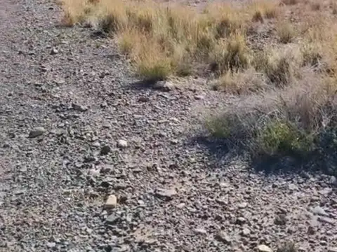 LOTES EN VALLE SAN ALBERTO - USPALLATA