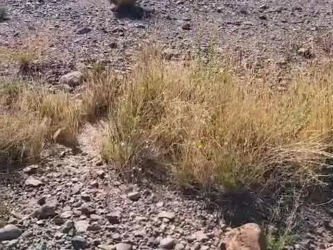 Ruta 149