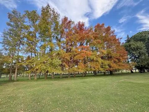 Campo en Venta de 80  ha