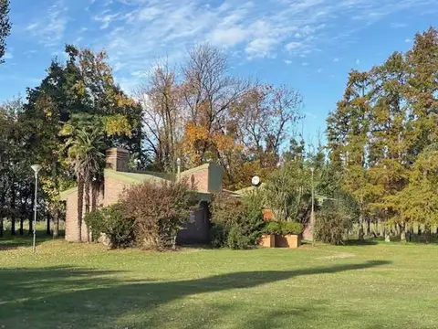 Saladillo 80
