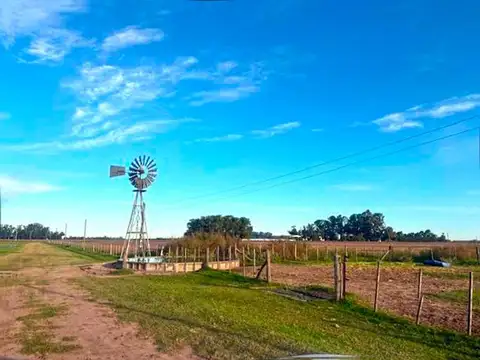 Saladillo 80