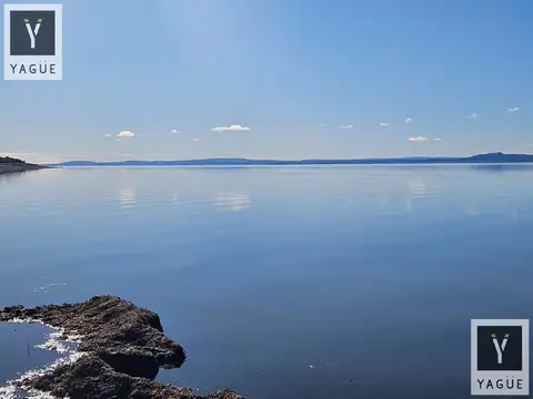 7.000 has sobre el Lago Muster - 15 km de costa - Excelente pesca - Productivo