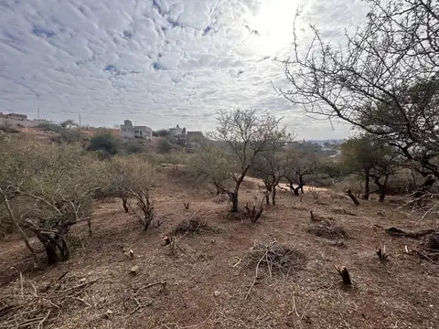 Terreno en Venta de 798,0 m2