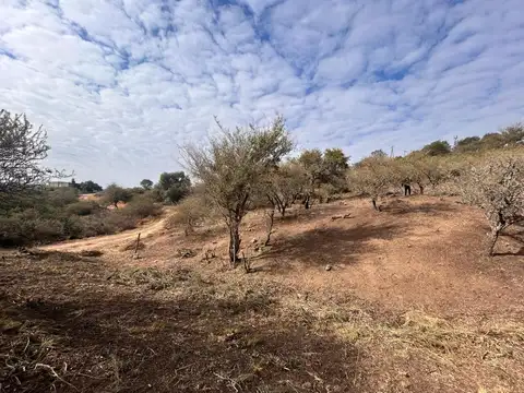 Terreno en Venta 31  mts Fondo