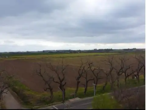 Campo en  San Nicolás