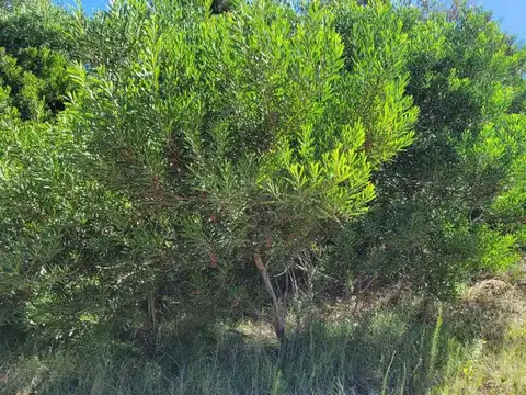 VENTA LOTE COSTA ESMERALDA FONDO LIBRE OPORTUNIDAD