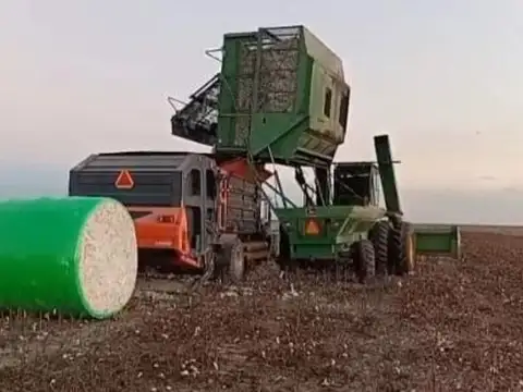 Las Avispas Camino Rural