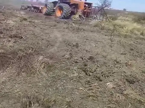 Las Avispas Camino Rural