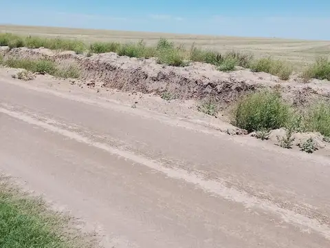 Las Avispas Camino Rural