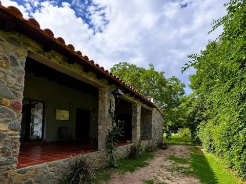 San Lorenzo, Virgilio Garcia