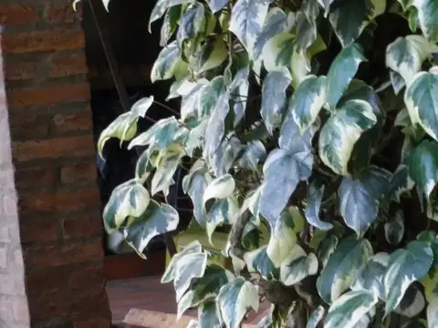 Casa en Club Privado El Ombu