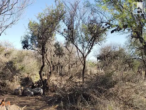 Tus hijos pueden vivir otra vida, una vida al aire libre…..