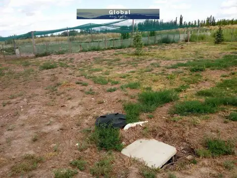 Campo en Venta de 31  ha