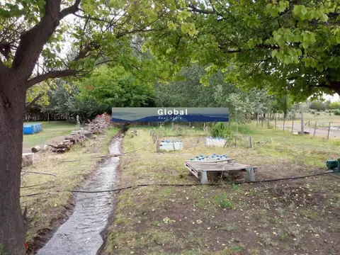 Excelente Finca De 31 Has En San Rafael , Mendoza Zona Vitivinícola Argentina