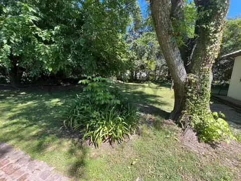 Terreno en Venta en Arturo Segui, USD 62.000