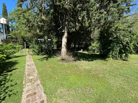 141 bis e/ 419 y 420 100, Piso 0