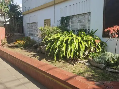 Ortiz 300