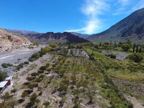 Terreno en Venta de 13000,0 m2