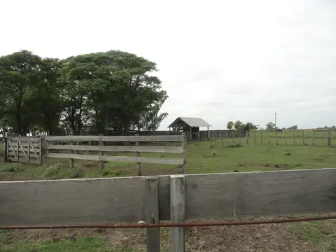 Campo mixto sobre ruta listo para trabajar