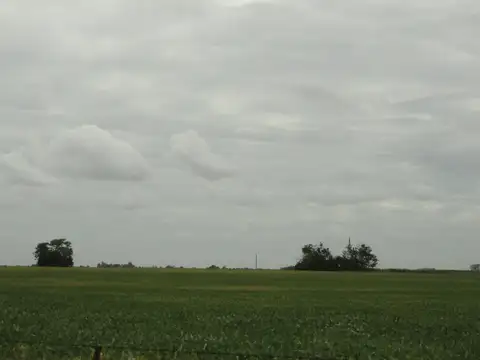Gualeguaychú, campo mixto sobre ruta