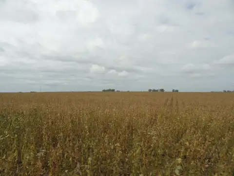 Gualeguaychú, campo mixto sobre ruta