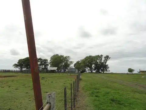 Campo en Venta Ganadero