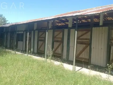 Venta Chacra - Magdalena / Atalaya - Buenos Aires Ruta 11