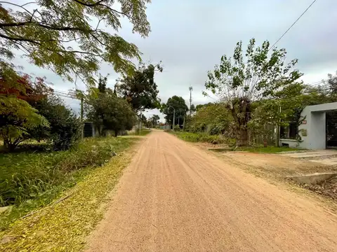 GAVIOTAS 300