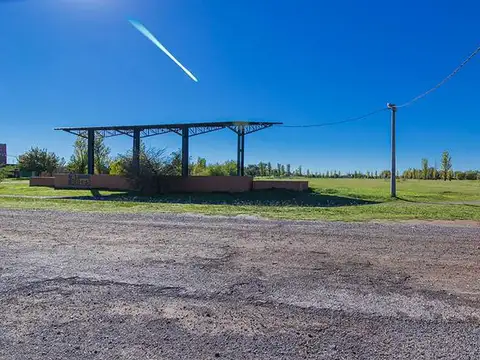 AO12 Y LAS TARDES LOTE 855 - LAS TARDES