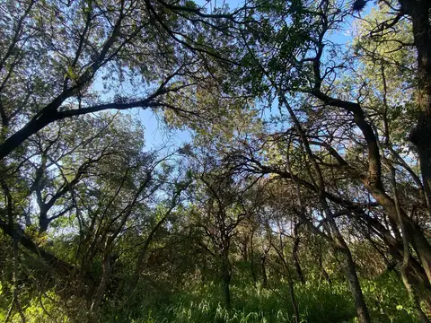 Terreno en Venta 90  mts Fondo