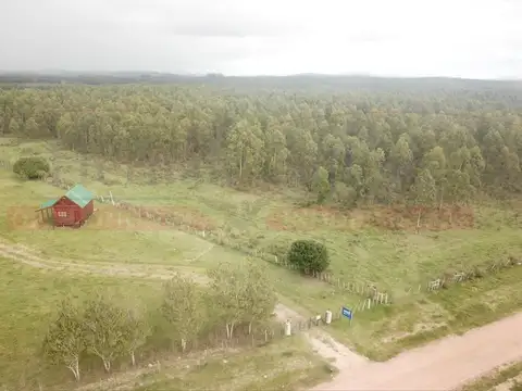 Campo en Venta de 13  ha