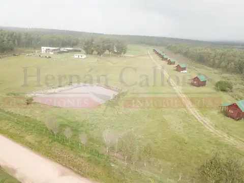 EXCELENTE CAMPO 13 HAS CON CABAÑAS EN MALDONADO, URUGUAY