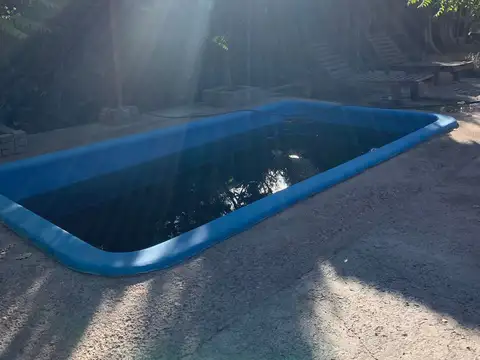 Comunero & 100