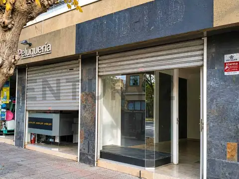 Local Comercial en Alquiler