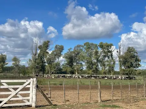 CALLE RENZO BALDO (EX LAS PERDICES) KM 53,5 RUTA PROV. 40