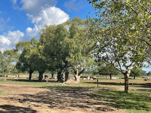 CALLE RENZO BALDO (EX LAS PERDICES) KM 53,5 RUTA PROV. 40