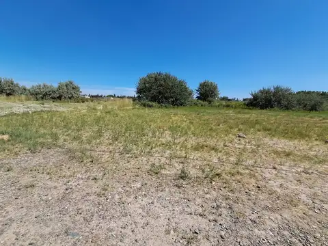 Terreno en Venta en Coronel Juan Jose Gomez, USD 14.500