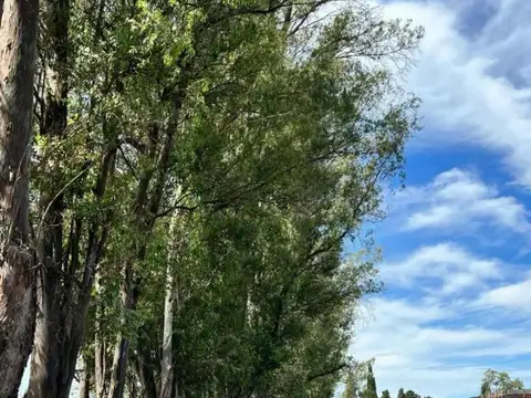 OPORTUNIDAD VENTA LOTE EN SANTA SOFIA PILAR DEL ESTE