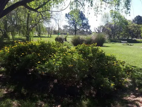 Loma Verde Escobar