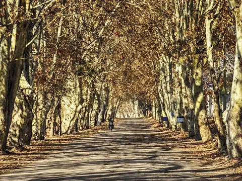 Terreno en Venta en Perdriel, USD 10.000