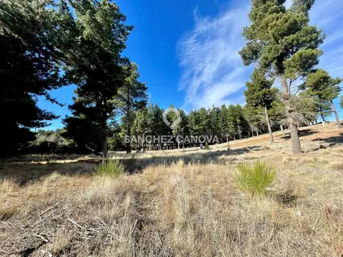 Terreno Lote  en Venta en Dina Huapi, Bariloche, Patagonia