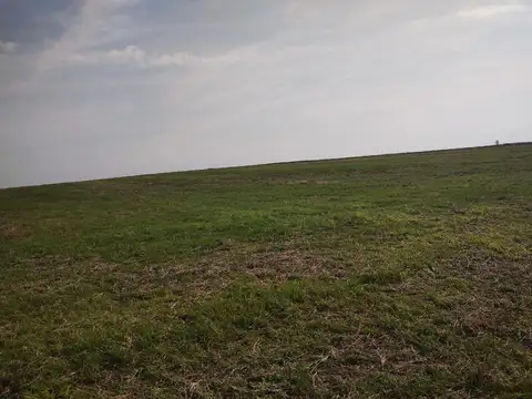 Campo en Venta de 175  ha