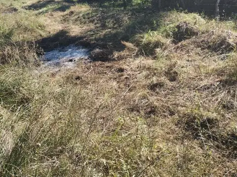 Campo en Venta de 175  ha
