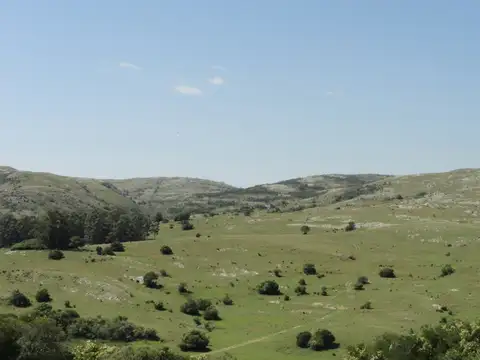 Campo - Venta - Uruguay, Maldonado