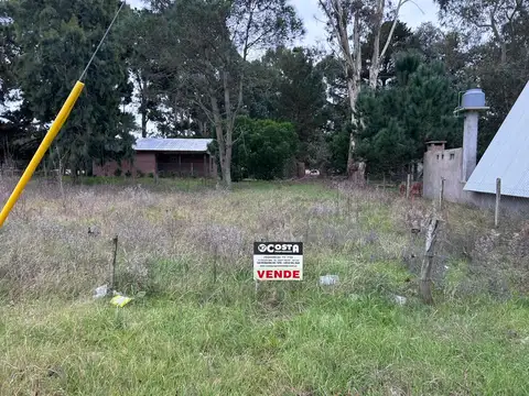 Lote en El Pinar (Lucila del Mar)