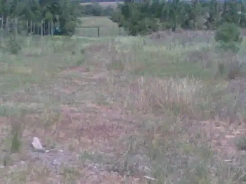 Campo en Venta de 18,50  ha