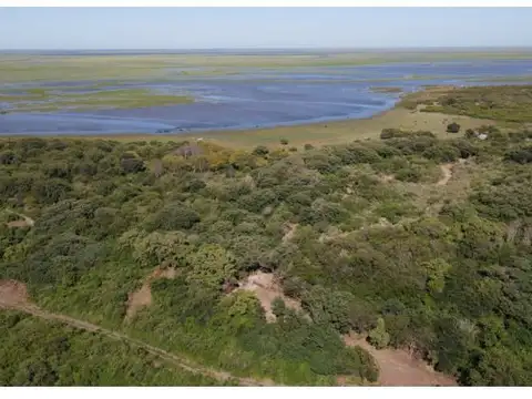 Campo de 10 has arbolado sobre la costa, Rincon de Nogoya