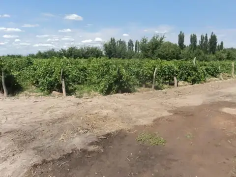 San Rafael de mendoza
