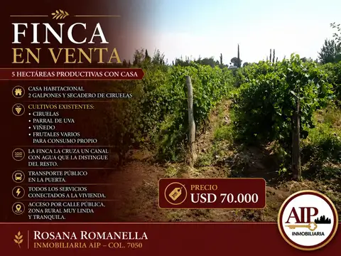 Finca - San Rafael